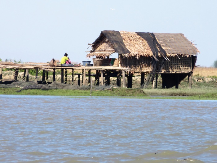 Birmanie de Mrauk u a Sittwe habitat lacustre